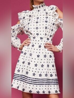 Ted Baker dress - Like New